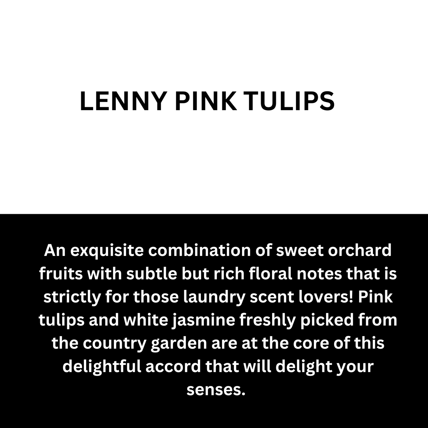 LAUNDRY INSPIRED MINI BARS