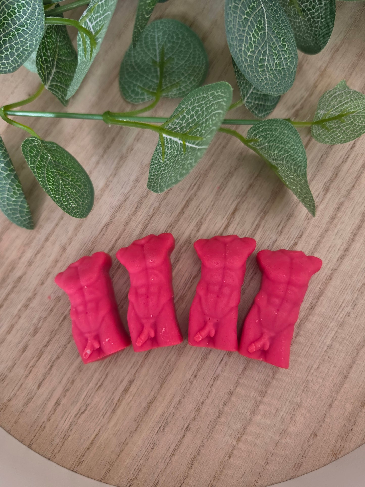 Set of 4 Male Torso