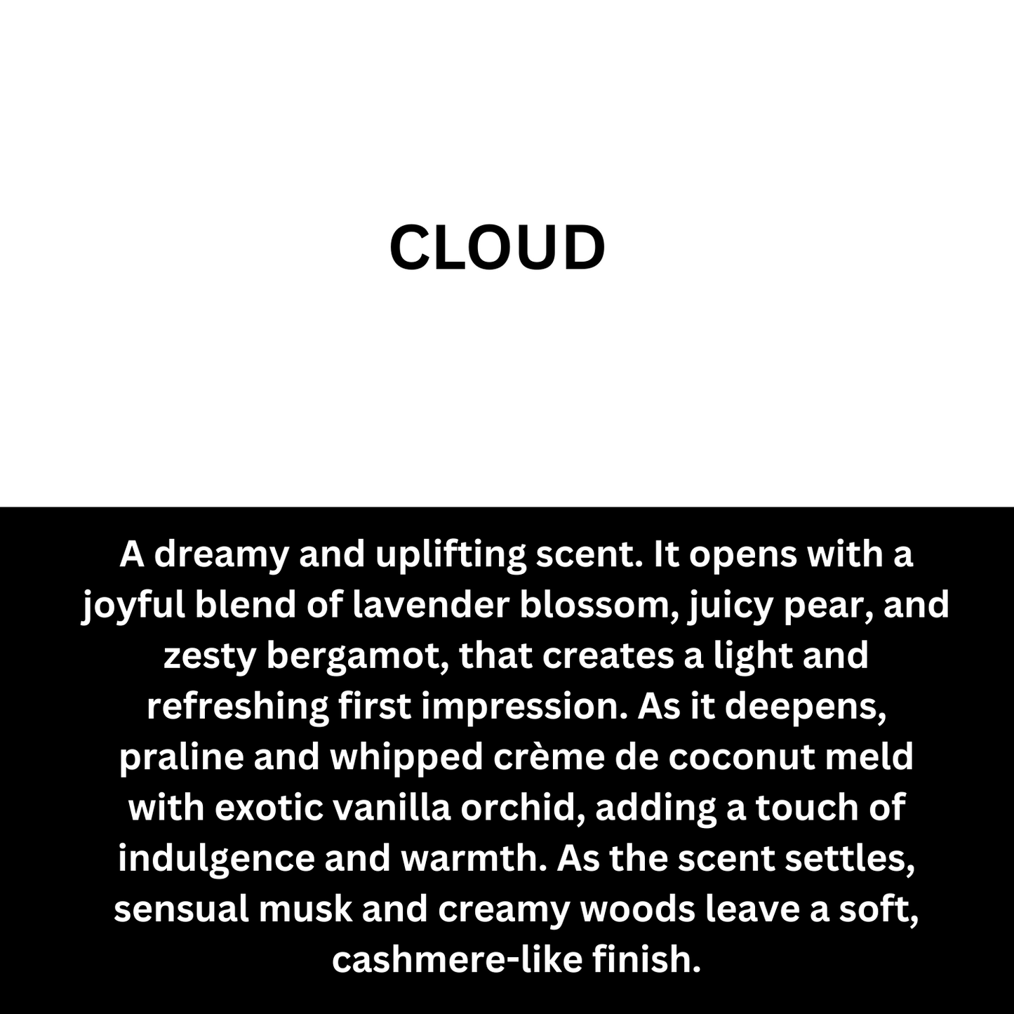 PERFUME INSPIRED MINI BARS