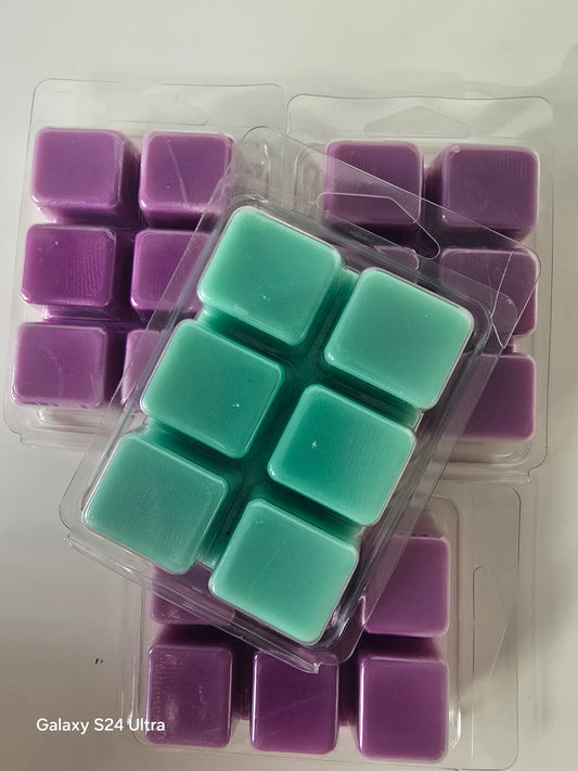 SQUARE LARGE CLAMSHELL