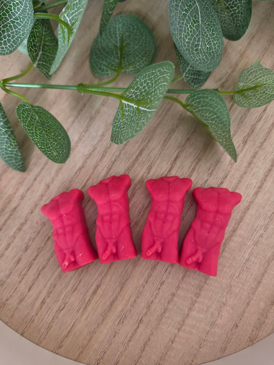 Set of 4 Male Torso